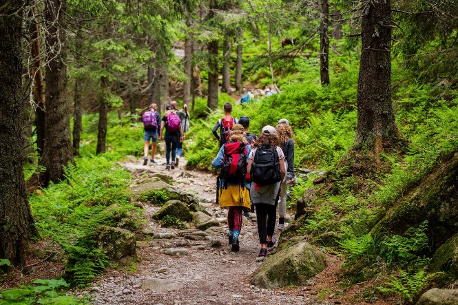 guided group on a hiking trail